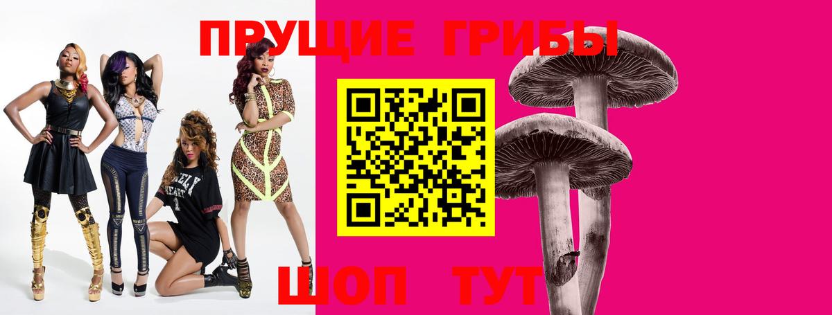 Саяногорск  Галлюциногенные грибы прущие грибы  Вход с VPN  Галлюциногенные грибы ЛСД 